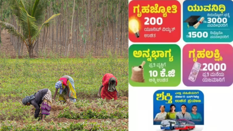 Untitled design 2025 12 16T101308.676