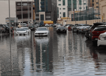 Untitled design 2025 12 20T094641.423