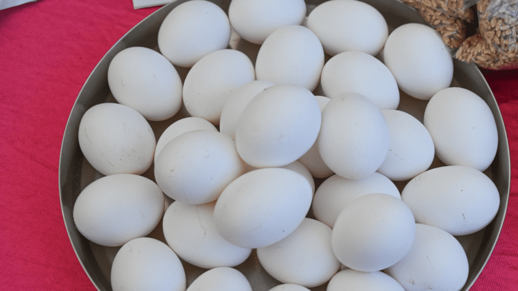 Untitled design 2025 12 21T080309.103