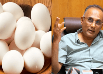 Untitled design 2025 12 26T160301.167