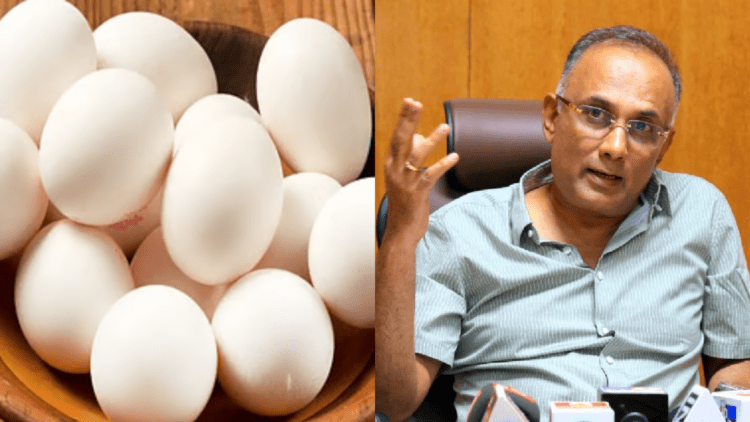 Untitled design 2025 12 26T160301.167