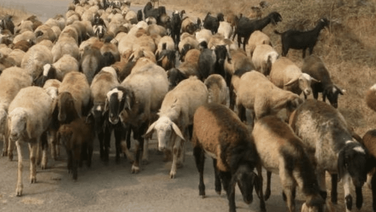 Untitled design 2025 12 27T194941.756