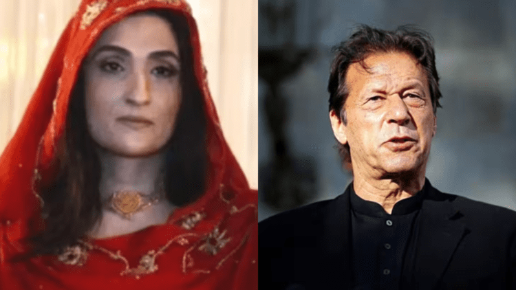 Untitled design (29)