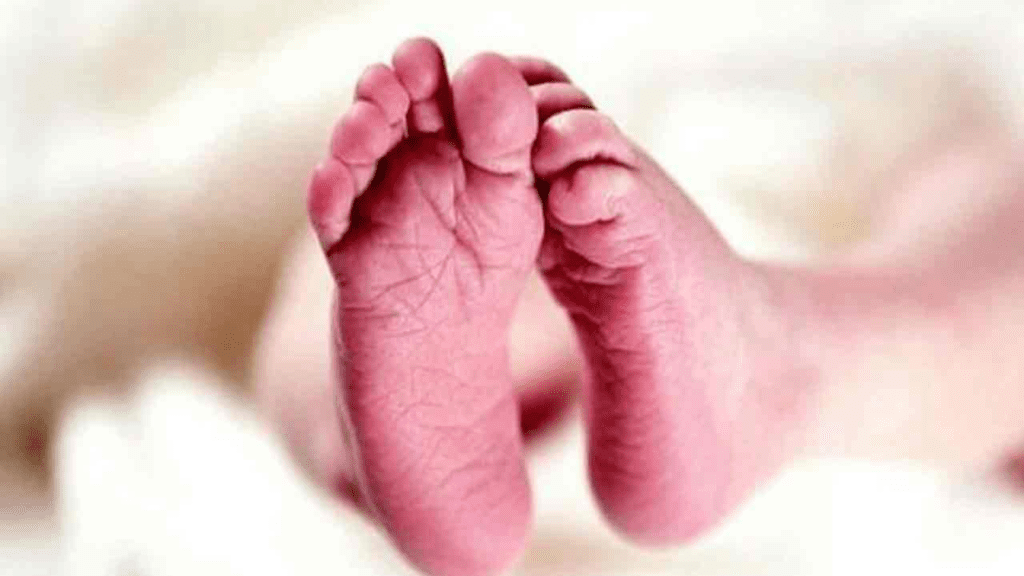 Untitled design (36)