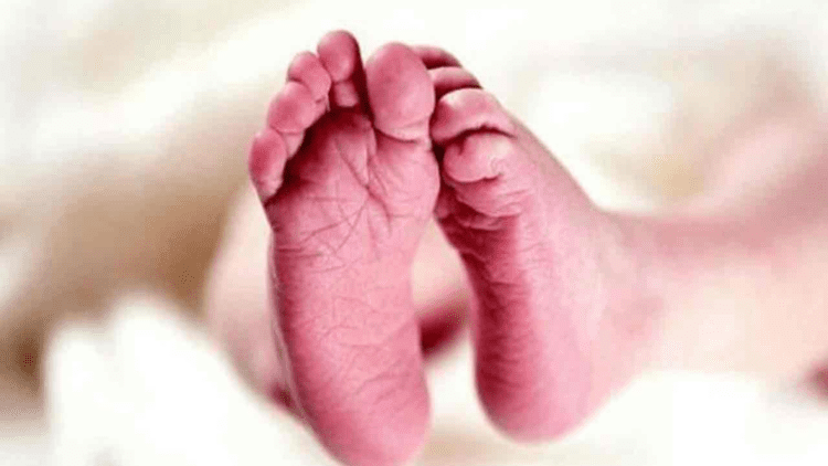 Untitled design (36)