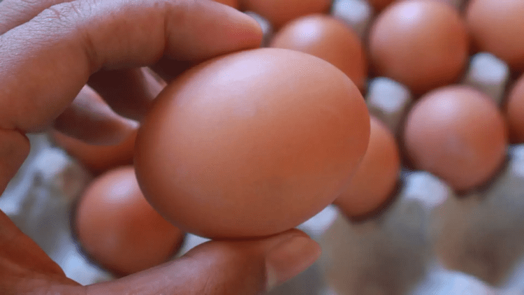 Untitled design (39)