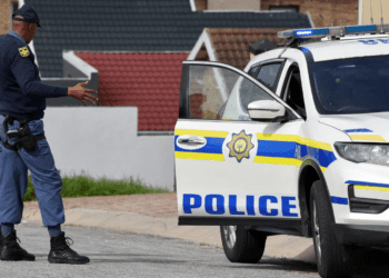 Untitled design (41)