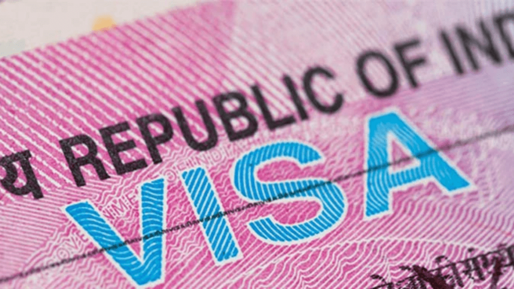 Untitled design (51)