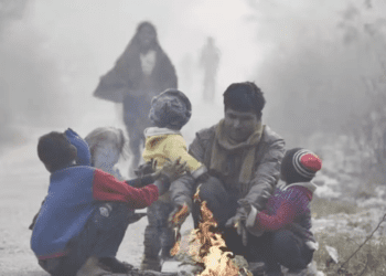 Untitled design (56)