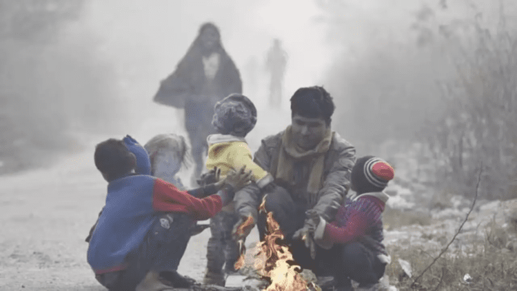 Untitled design (56)