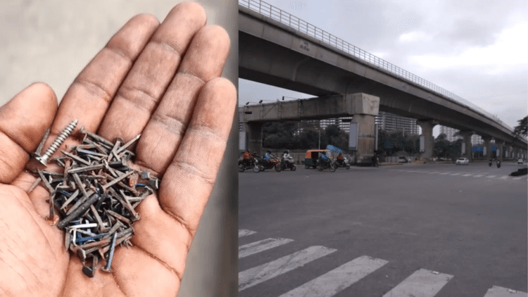 Untitled design (66)