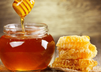 Untitled design (71)