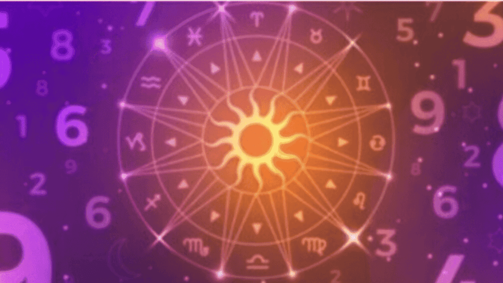 Untitled design (81)