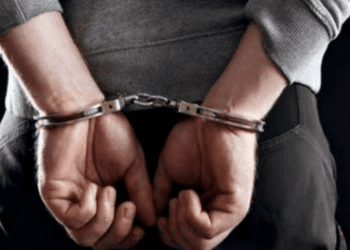 Untitled design (88)