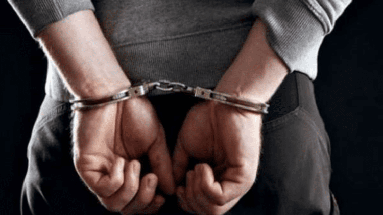 Untitled design (88)