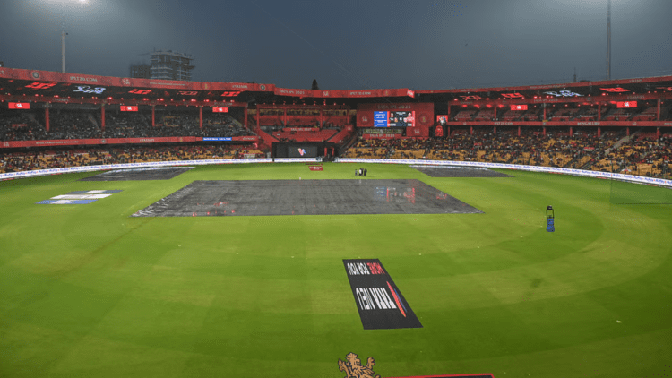 Untitled design (94)