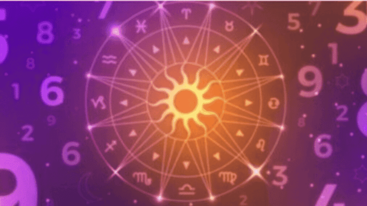 Untitled design (99)