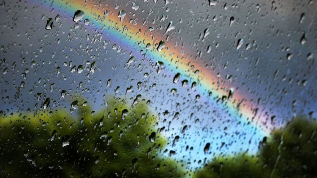 Web 2025 12 07T074947.023