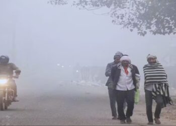 Web 2025 12 08T075016.865