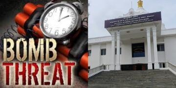 Website (19)
