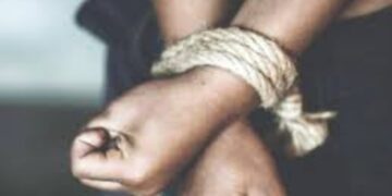 Website (6)
