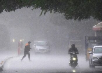 BeFunky collage (100)