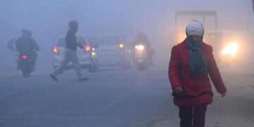 BeFunky collage 2026 01 06T073059.559