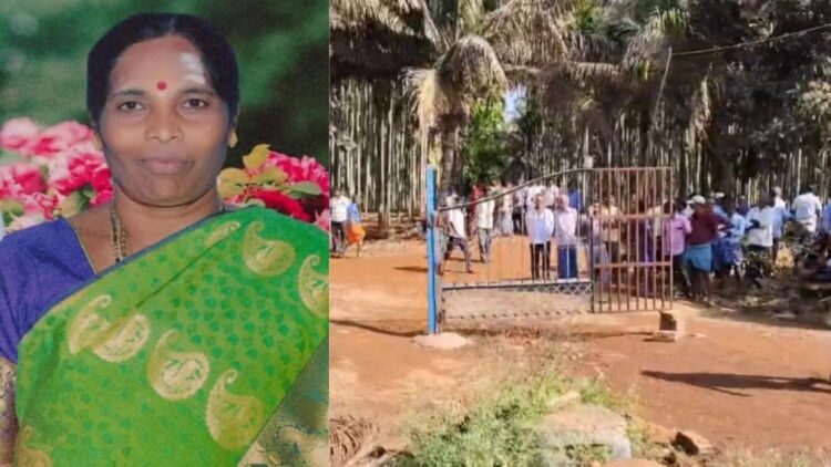 BeFunky collage 2026 01 08T123443.090