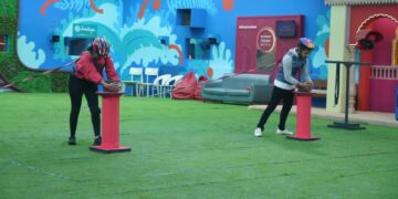 BeFunky collage 2026 01 08T135034.623