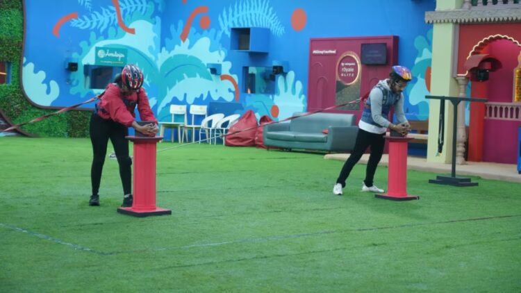 BeFunky collage 2026 01 08T135034.623