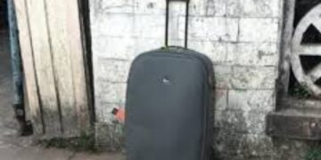 BeFunky collage 2026 01 11T161054.388