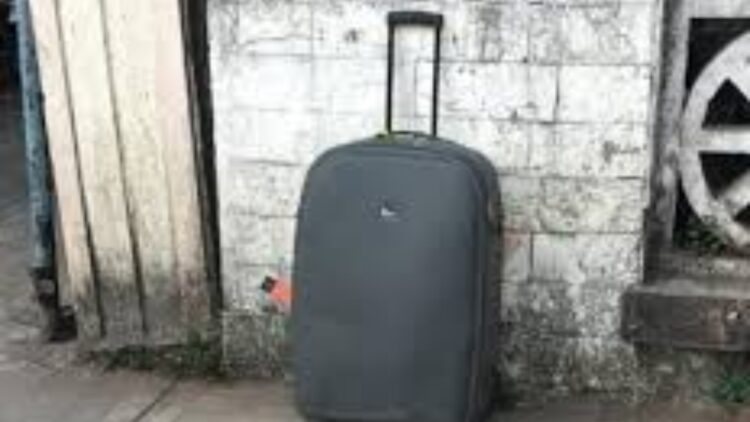 BeFunky collage 2026 01 11T161054.388