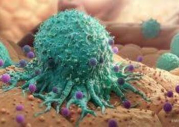 BeFunky collage 2026 01 11T194655.641