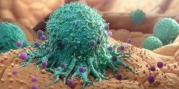 BeFunky collage 2026 01 11T194655.641