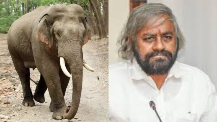 BeFunky collage 2026 01 13T121602.147