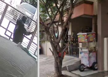 BeFunky collage 2026 01 13T142626.213