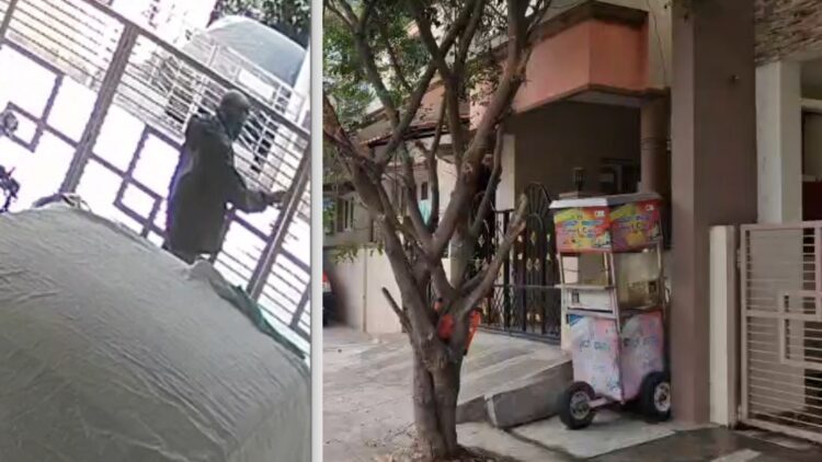 BeFunky collage 2026 01 13T142626.213