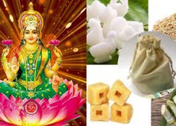 BeFunky collage 2026 01 13T160312.640