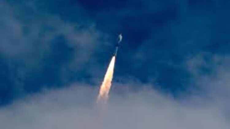 BeFunky collage 2026 01 14T090015.772