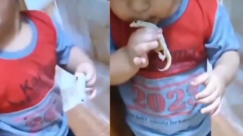 BeFunky collage 2026 01 14T143330.192