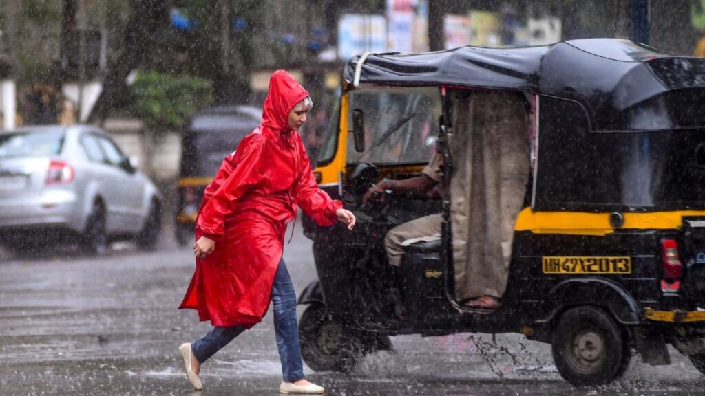 BeFunky collage 2026 01 16T073508.482