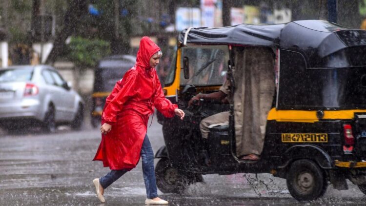 BeFunky collage 2026 01 16T073508.482