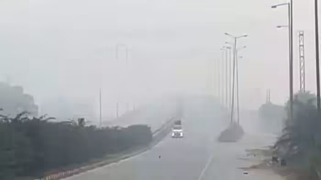 BeFunky collage 2026 01 20T073033.499