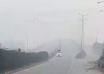 BeFunky collage 2026 01 20T073033.499