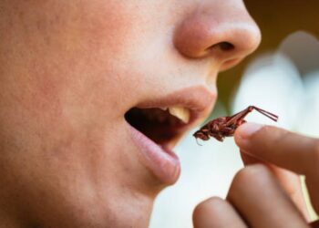 BeFunky collage 2026 01 20T114047.883