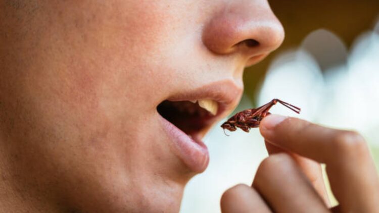 BeFunky collage 2026 01 20T114047.883