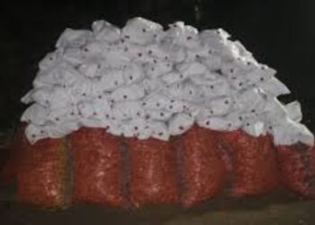 BeFunky collage 2026 01 20T131037.353