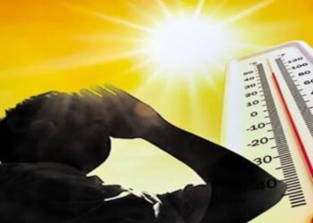 BeFunky collage 2026 01 29T090708.439