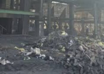 BeFunky collage (31)