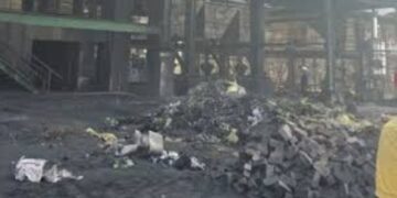 BeFunky collage (31)